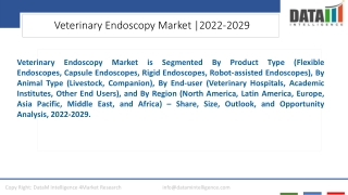 Veterinary Endoscopy Market Opportunities Insights 2022-2029