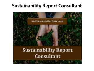 Sustainability Report Consultant