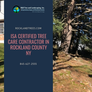 ISA Certified Tree Care Contractor in Rockland County NY