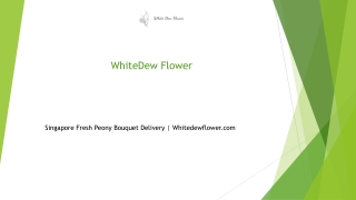 Singapore Fresh Peony Bouquet Delivery | Whitedewflower.com
