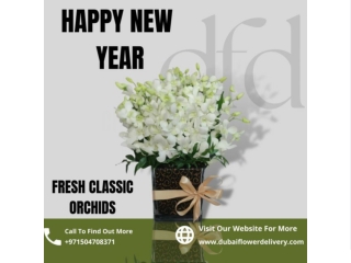 FRESH CLASSIC ORCHIDS | DubaiFlowerDelivery.Com