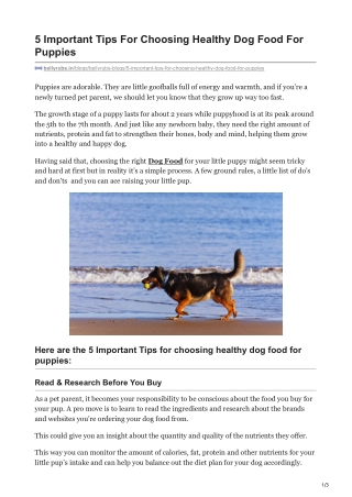 5 Important Tips For Choosing Healthy Dog Food For Puppies