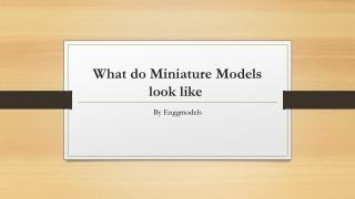 What do Miniature Models look like 