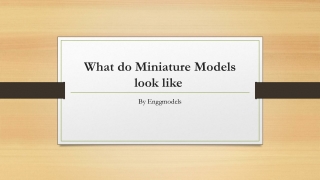 What do Miniature Models look like 