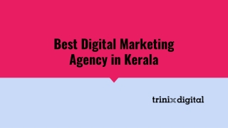 Best Digital Marketing Agency in Kerala