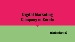 Digital Marketing Company in Kerala