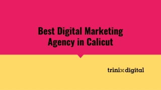 Best Digital Marketing Agency in Calicut