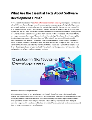 What Are the Essential Facts About Software Development Firms