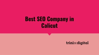 Best SEO Company in Calicut