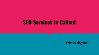 Best SEO Services in Calicut | SEO Advantages