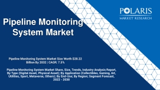 Pipeline Monitoring System Market size,share Application 2030