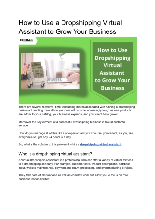 How to Use a Dropshipping Virtual Assistant to Grow Your Business