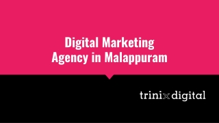 Digital Marketing Agency in Malappuram