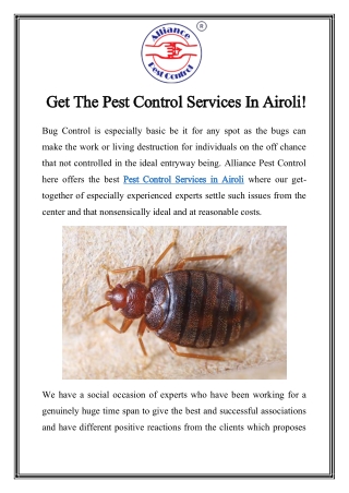 Pest Control Services in Airoli Call-9833024667