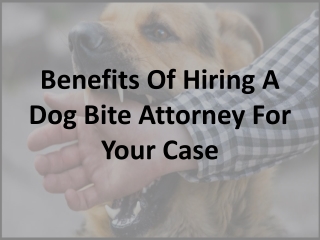 Benefits Of Hiring A Dog Bite Attorney For Your Case