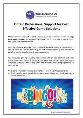 Obtain Professional Support for Cost-Effective Game Solutions