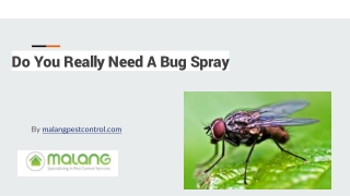 Do You Really Need A Bug Spray