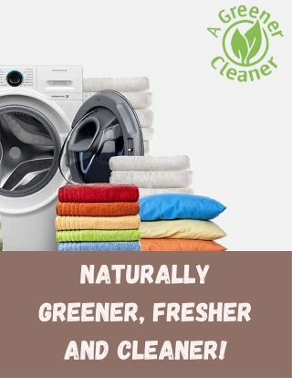 Professional Wet Cleaning St. John’s County - A Greener Cleaner