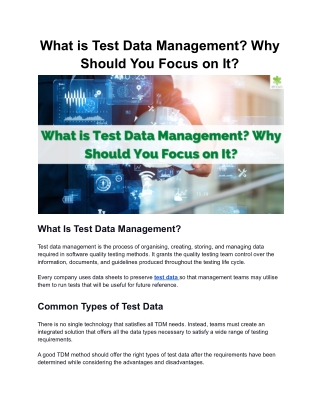 What is Test Data Management? Why Should You Focus on It?