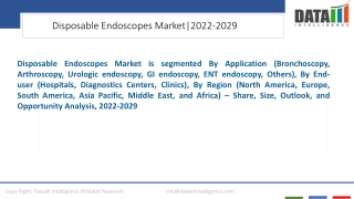Disposable Endoscopes Market Competitive Landscape 2022-2029