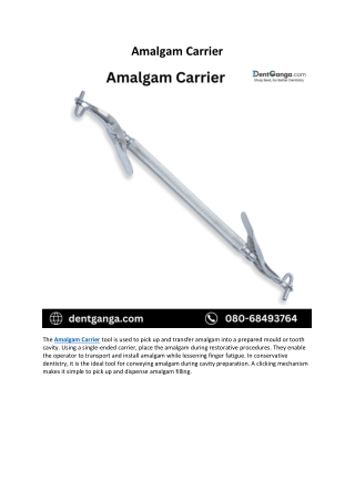 Amalgam Carrier - Dent Ganga