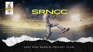 cricket academy gurugram - SRNCC