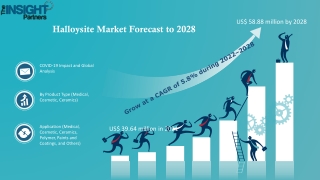 Halloysite Market To Gain Substantial Traction through 2028