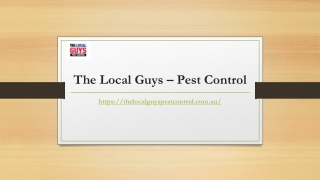 Best Termite Inspection Sydney |Thelocalguyspestcontrol.com.au