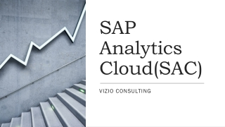 SAP Analytics Cloud(SAC)