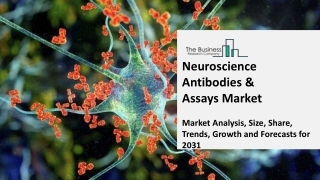 Global Neuroscience Antibodies And Assays Market Competitive Strategies