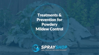 Treatments & Prevention for Powdery Mildew Control