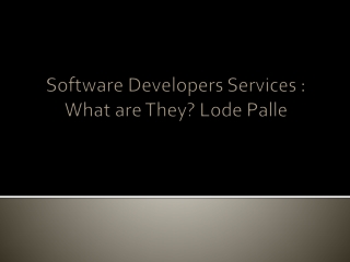 Software Developers Services  What are They Lode Palle