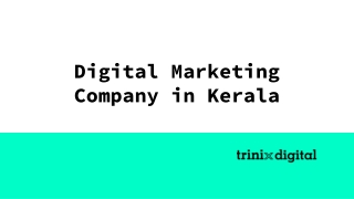 Digital Marketing Company in Kerala
