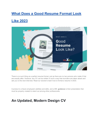 What Does a Good Resume Format Look Like 2023