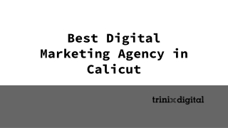 Best Digital Marketing Agency in Calicut