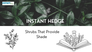 Shrubs That Provide Shade