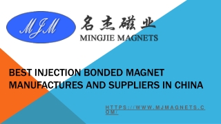Top Quality Plastic Bonded Magnets in China