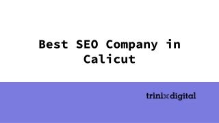 Best SEO Company in Calicut