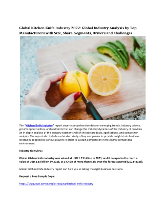 Global Kitchen Knife Industry 2022: Global Industry Analysis, Trends & Forecast.