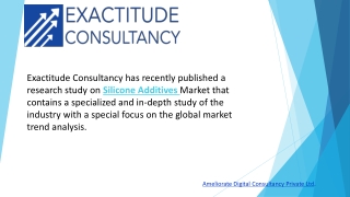 Silicone Additives Market