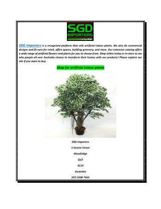 Shop for artificSDG Importersal indoor plants