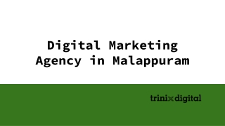 Digital Marketing Agency in Malappuram