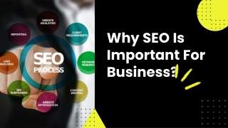 Why SEO Is Essential For Business?