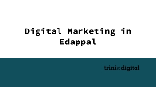 Digital Marketing in Edappal