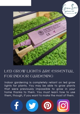 Plants Need LED Grow Lights For Indoor Gardening: