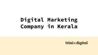 Digital Marketing Company in Kerala