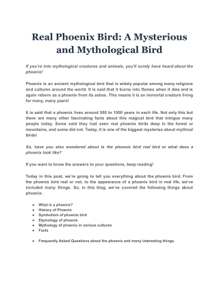 Real Phoenix Bird: A Mysterious and Mythological Bird