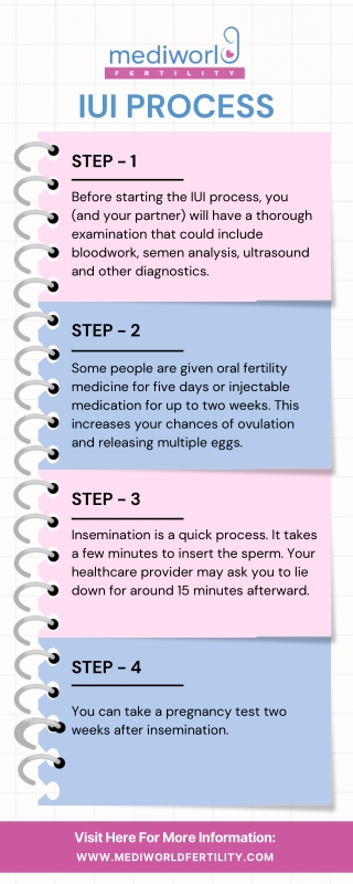 IUI Process