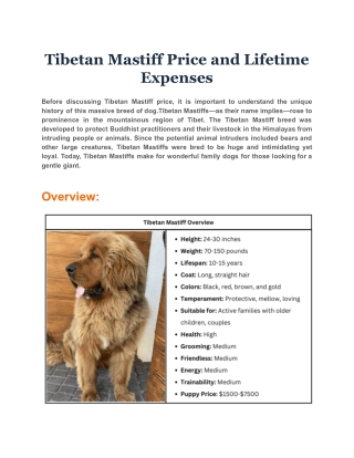 Tibetan Mastiff Price and Lifetime Expenses