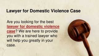 Lawyer for Domestic Violence Case